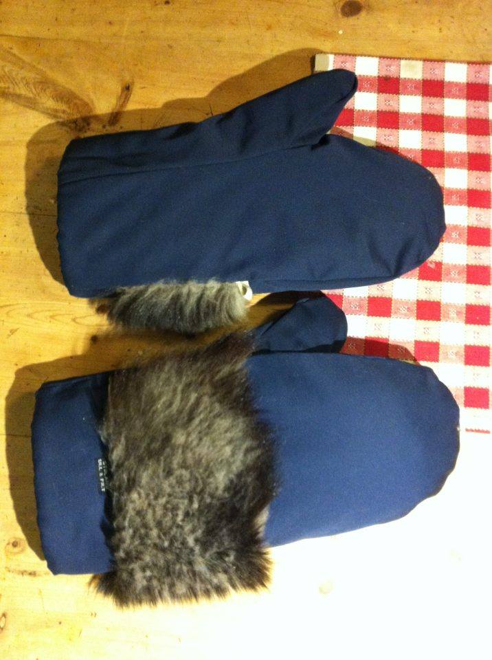 iditarod mittens